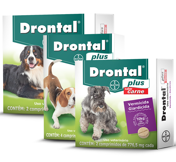Drontal® Plus Carne, é proteção eficaz contra vermes e giárdia